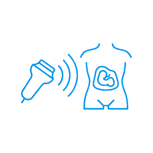 Test FribroScan<br><small>(Echosens Touch 502)</small>